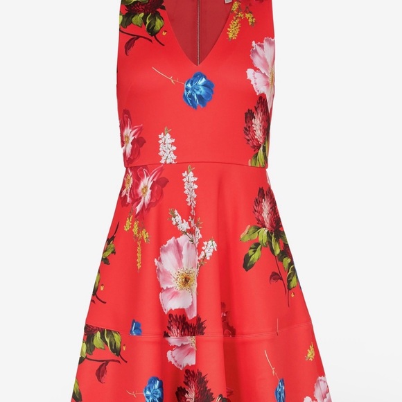 Ted Baker Red Floral Mini Dress Kinle - Picture 7 of 16
